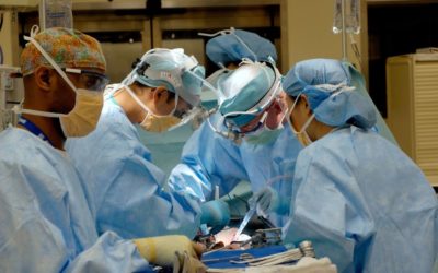 Texas Vet Surgeon Training and Education